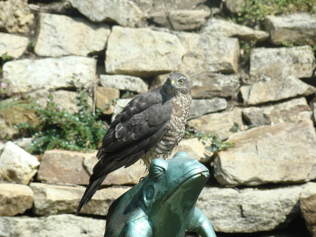 Kernel Bihan Pont-lʼAbbé Esterno foto