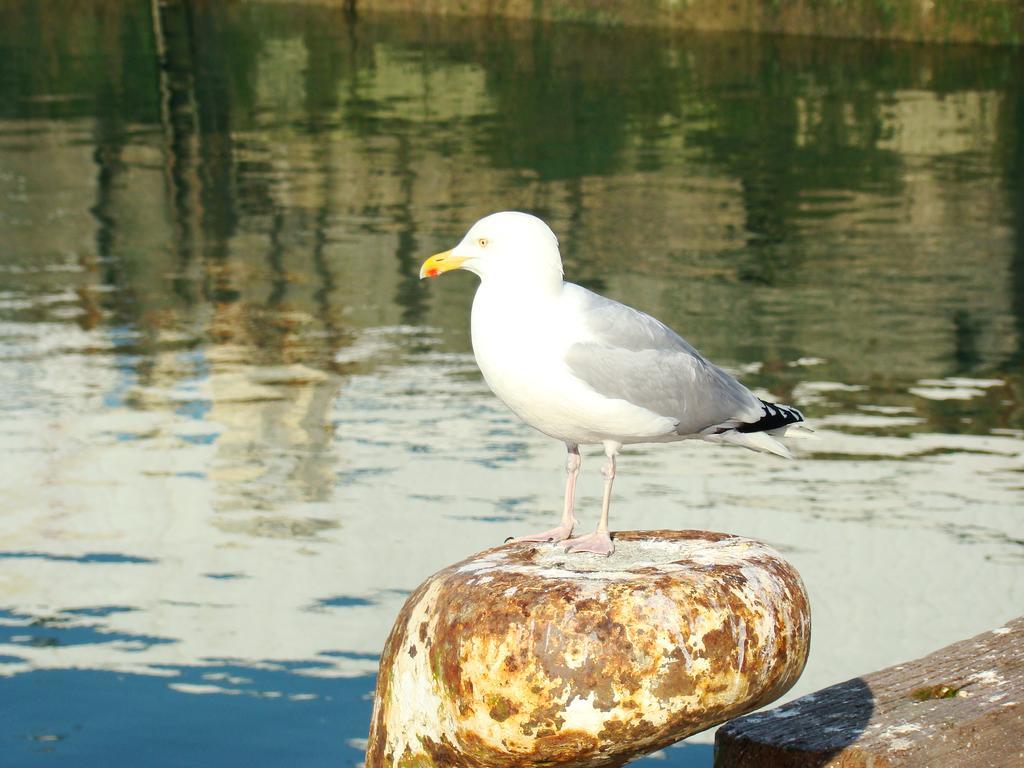 Kernel Bihan Pont-lʼAbbé Esterno foto